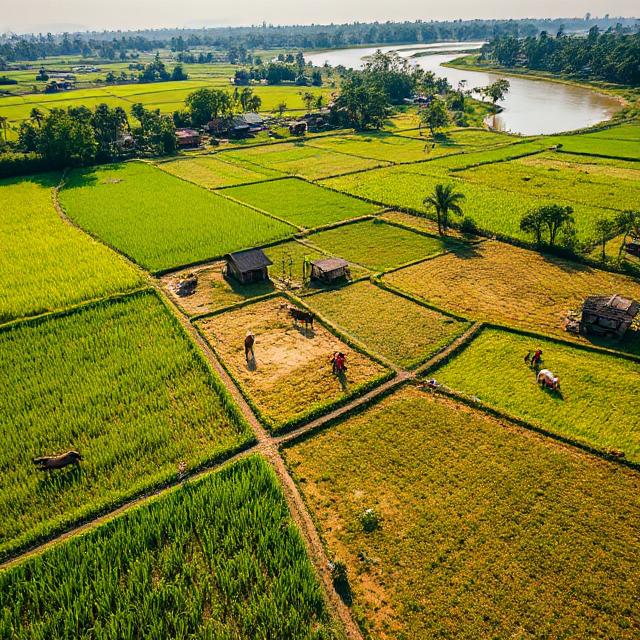 agriculture and Livestock